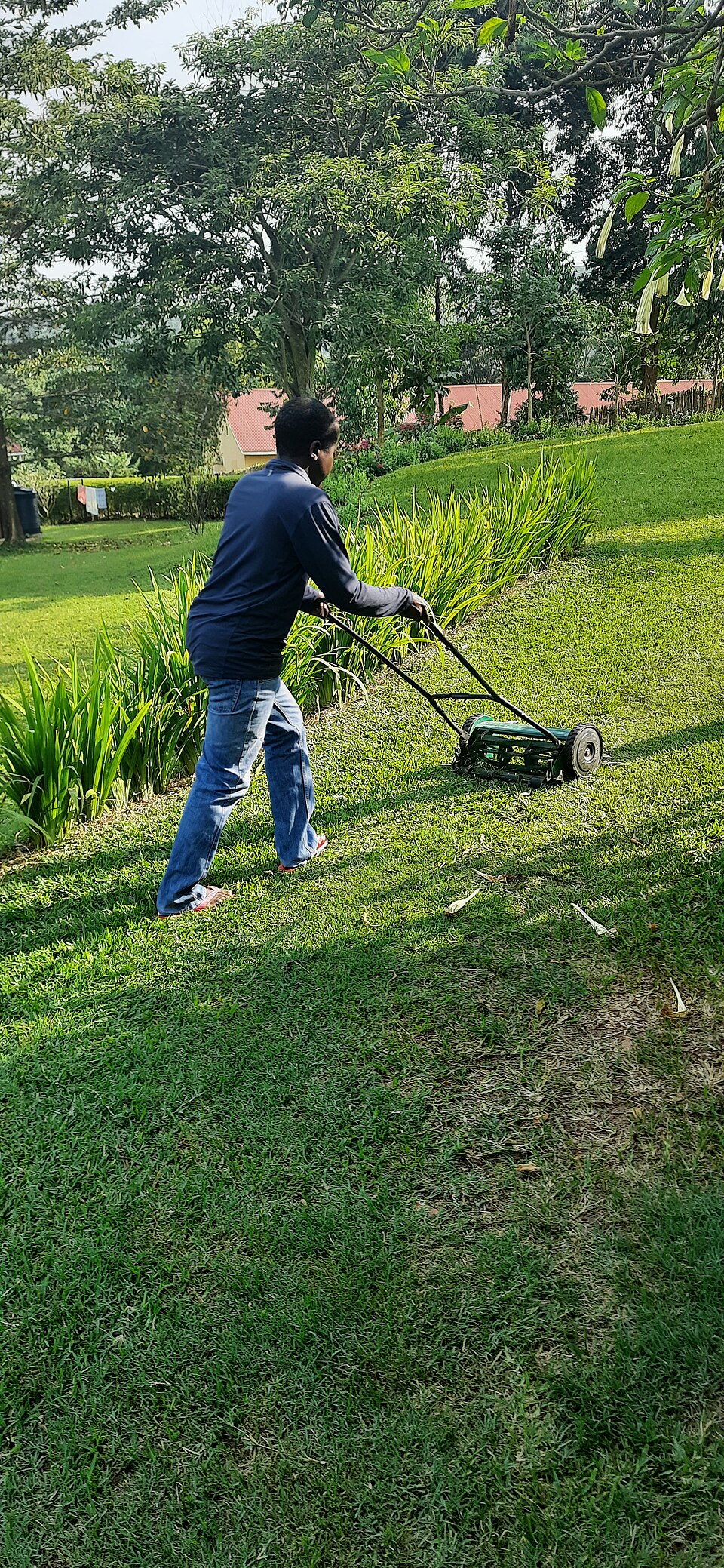 Landscaping & Lawn Care